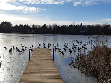 The Duck Chalet photo 3