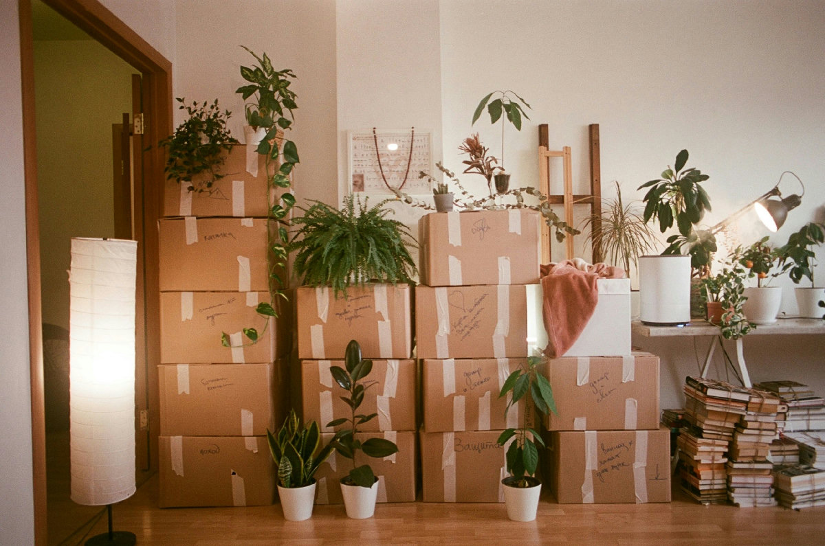 “If I Could Do It Again”: What People Really Say After Moving