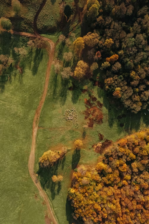 Rural Land Gotchas: What Easements and Handshake Deals Mean for Nova Scotia Buyers